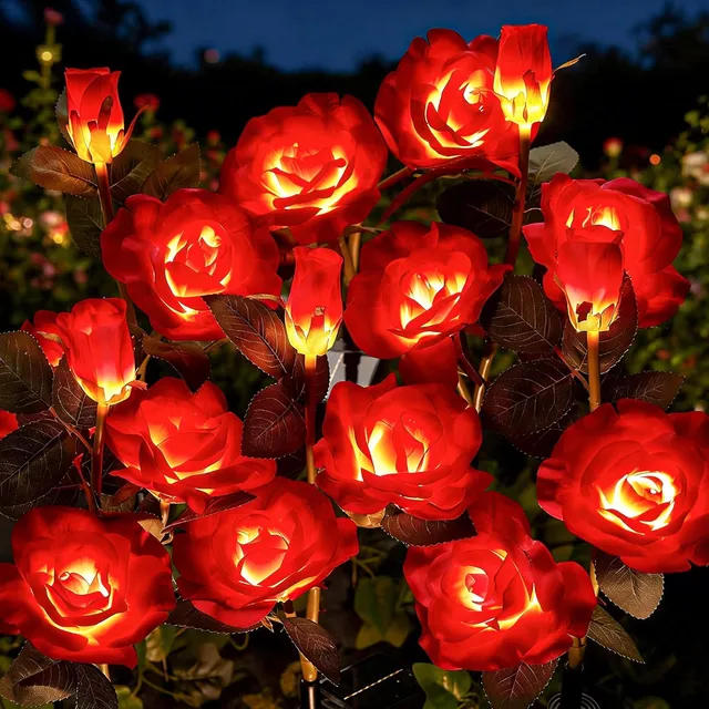 brightown-solar-powered-red-rose-garden-lights-4-pack-with-adjustable-stems-warm image 1