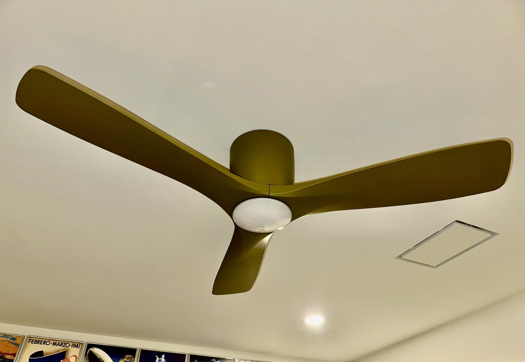 Beautiful fan