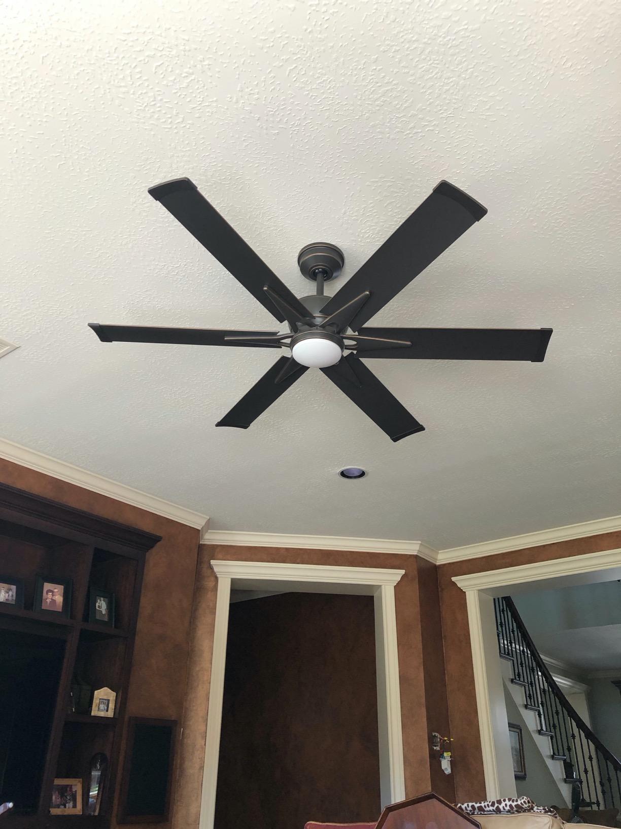 Beautiful fan