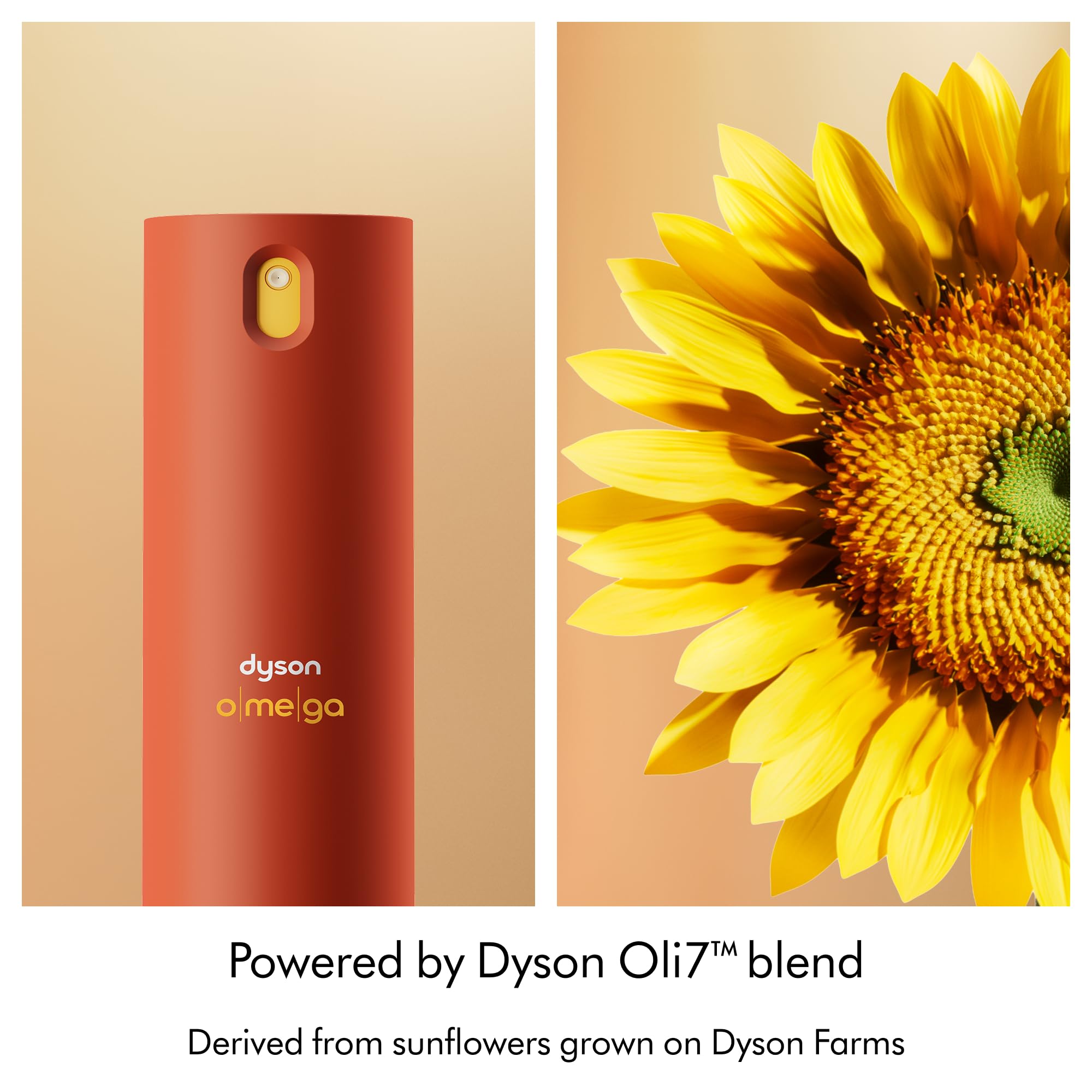 dyson-omega-leave-in-conditioning-spray image 3