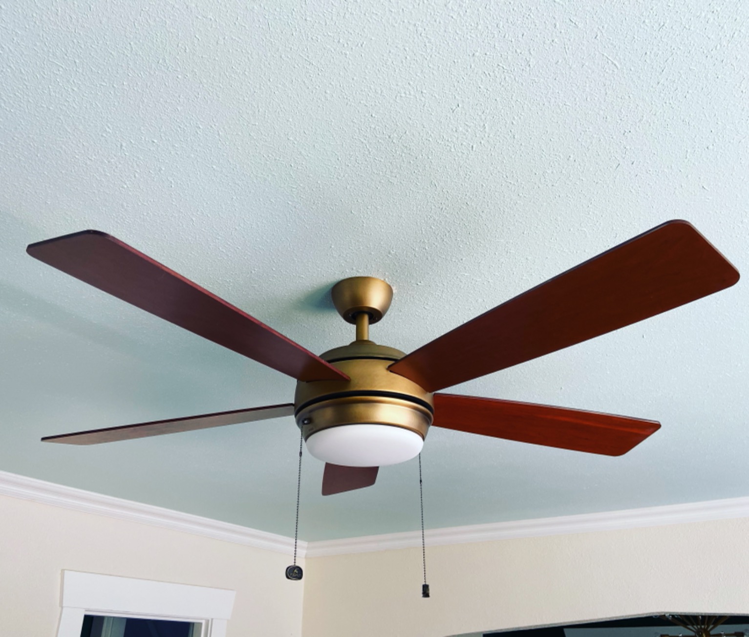 Great fan