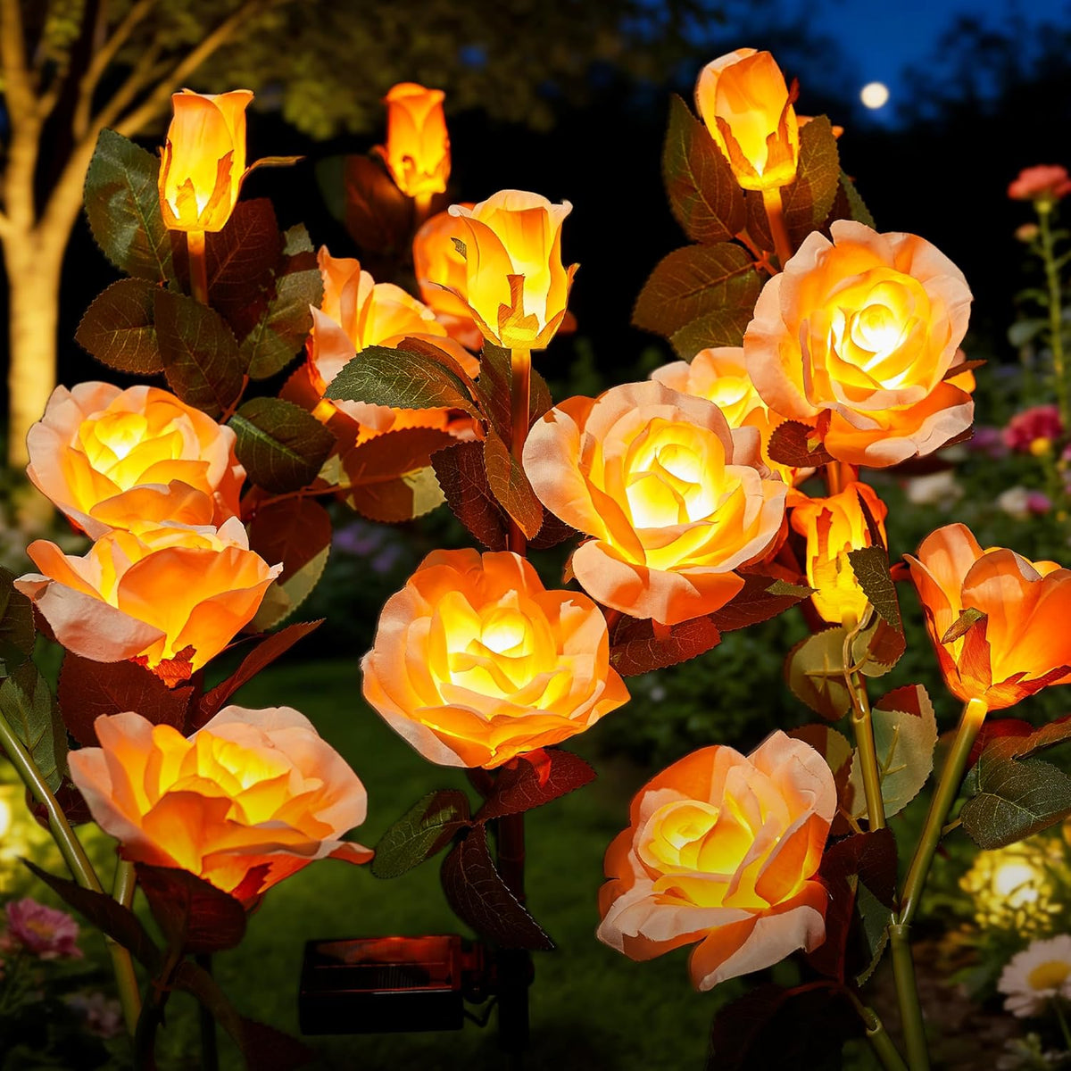 brightown-4-pack-realistic-champagne-rose-solar-garden-pathway-lights-with-adjus image 1