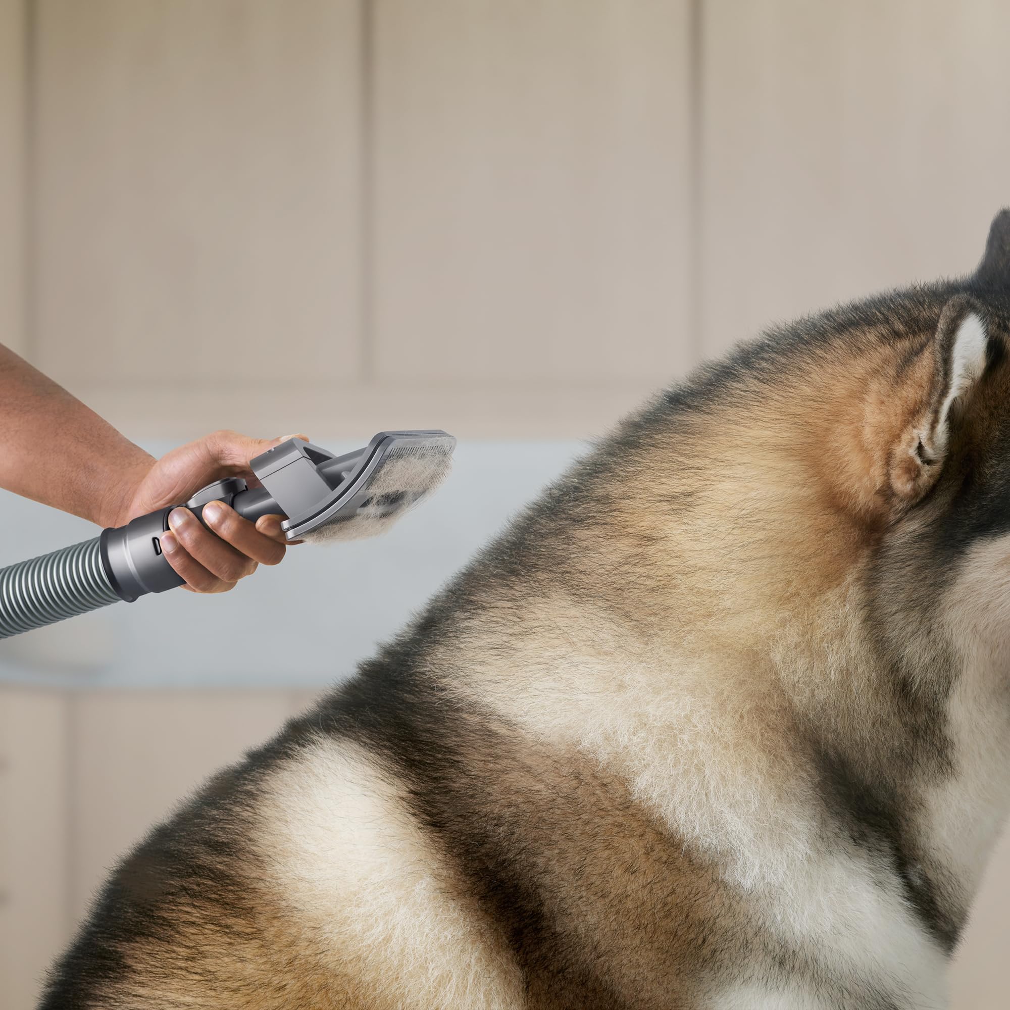 dyson-groom-tool-for-upright-vacuums-up13-up30-pet-hair-removal-attachment image 3