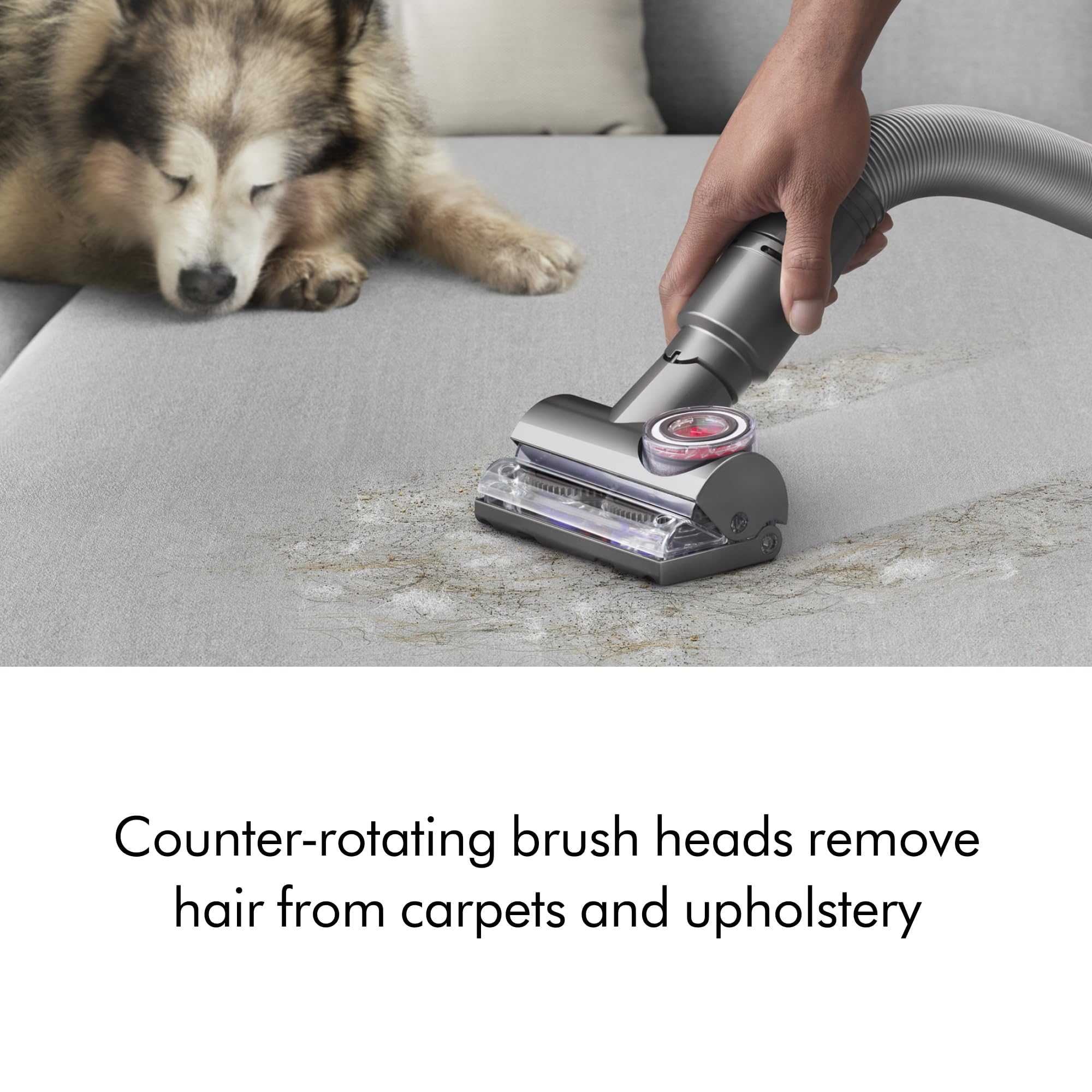 dyson-ball-animal-3-upright-vacuum-renewed-premium image 5