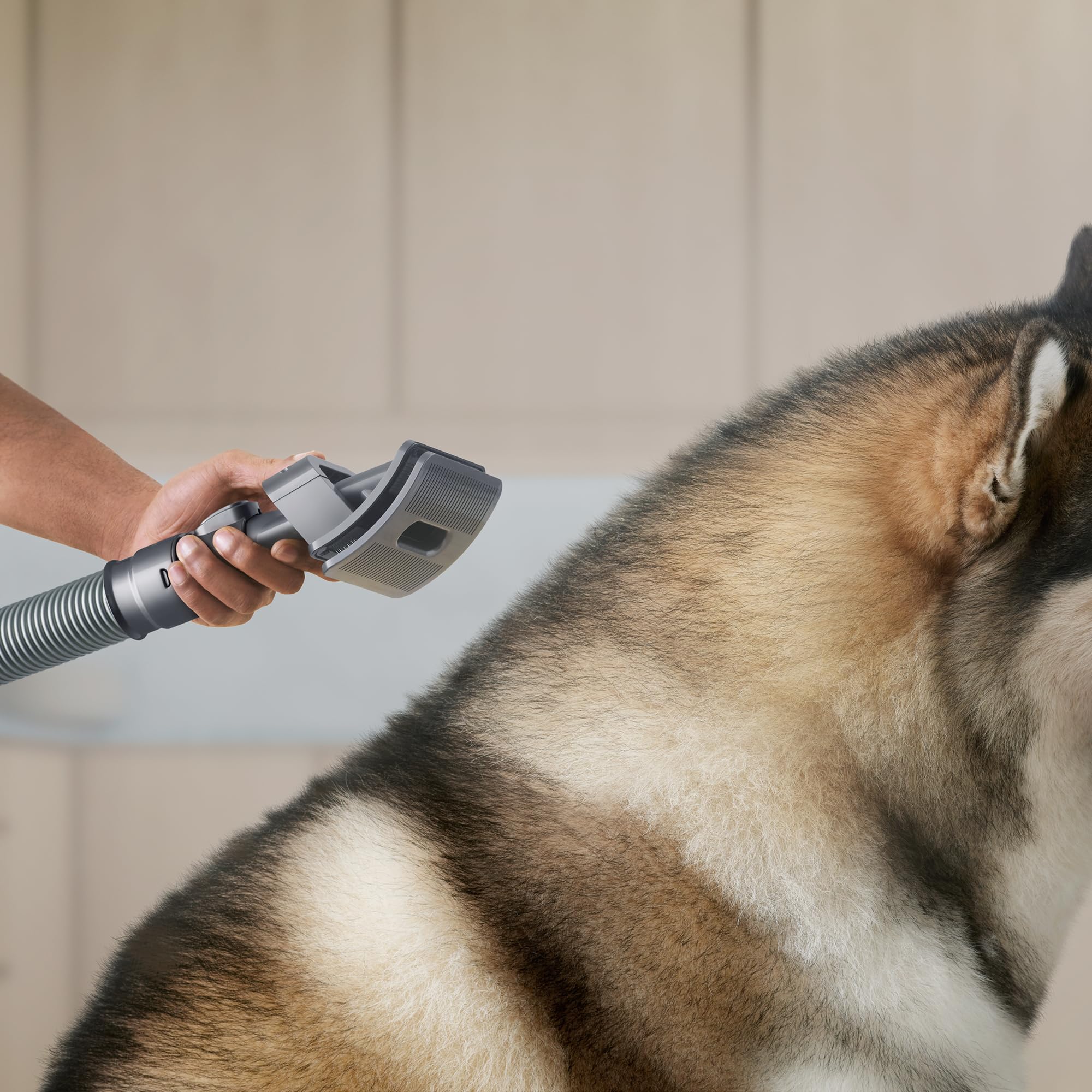 dyson-groom-tool-for-upright-vacuums-up13-up30-pet-hair-removal-attachment image 4
