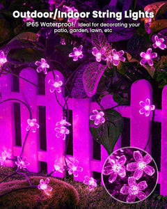 brightown-solar-powered-26ft-60-led-cherry-blossom-string-lights-purple-auto-on- image 2