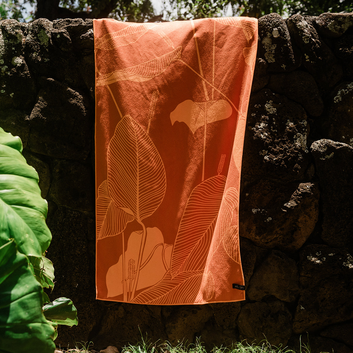 slowtide-calathea-performance-quick-dry-towel-sig-zane-x-slowtide image 2