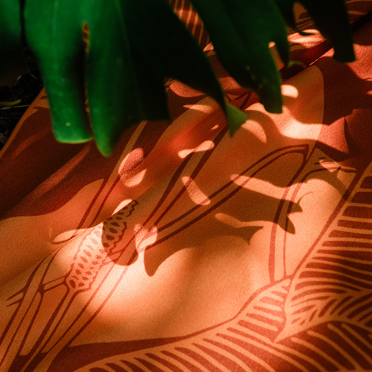 slowtide-calathea-performance-quick-dry-towel-sig-zane-x-slowtide image 3