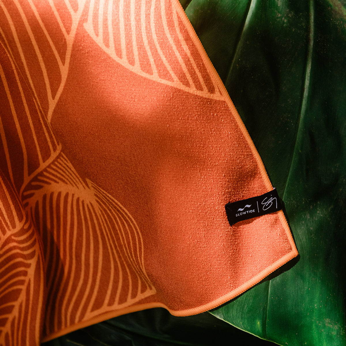 slowtide-calathea-performance-quick-dry-towel-sig-zane-x-slowtide image 5